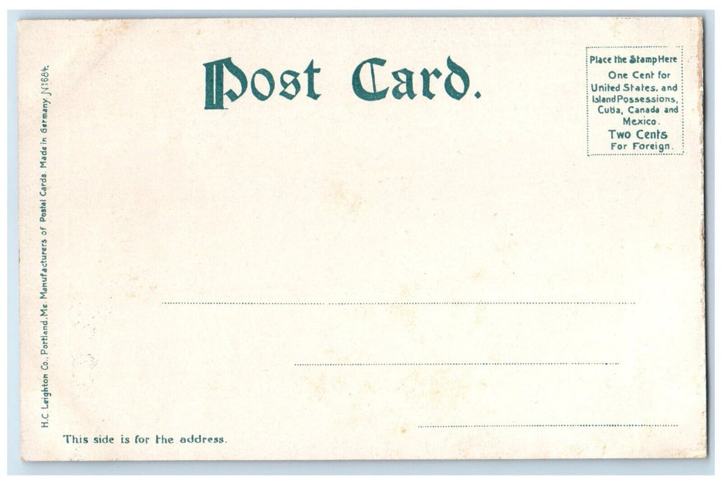 c1905 Aerial View State St Streetcar Buildings Road Chicago Illinois IL Postcard