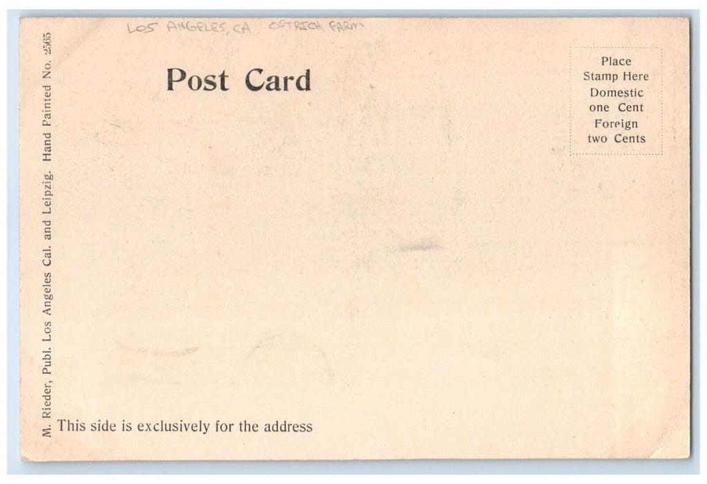 1906 Just Hatched Ostrich Farm Animal Los Angeles California CA Antique Postcard