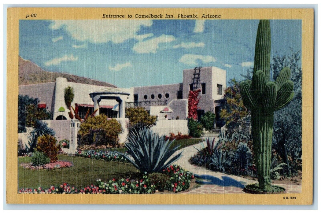 Entrance To Camelback Inn Motel Hotel Phoenix Arizona AZ Cactus Vintage Postcard