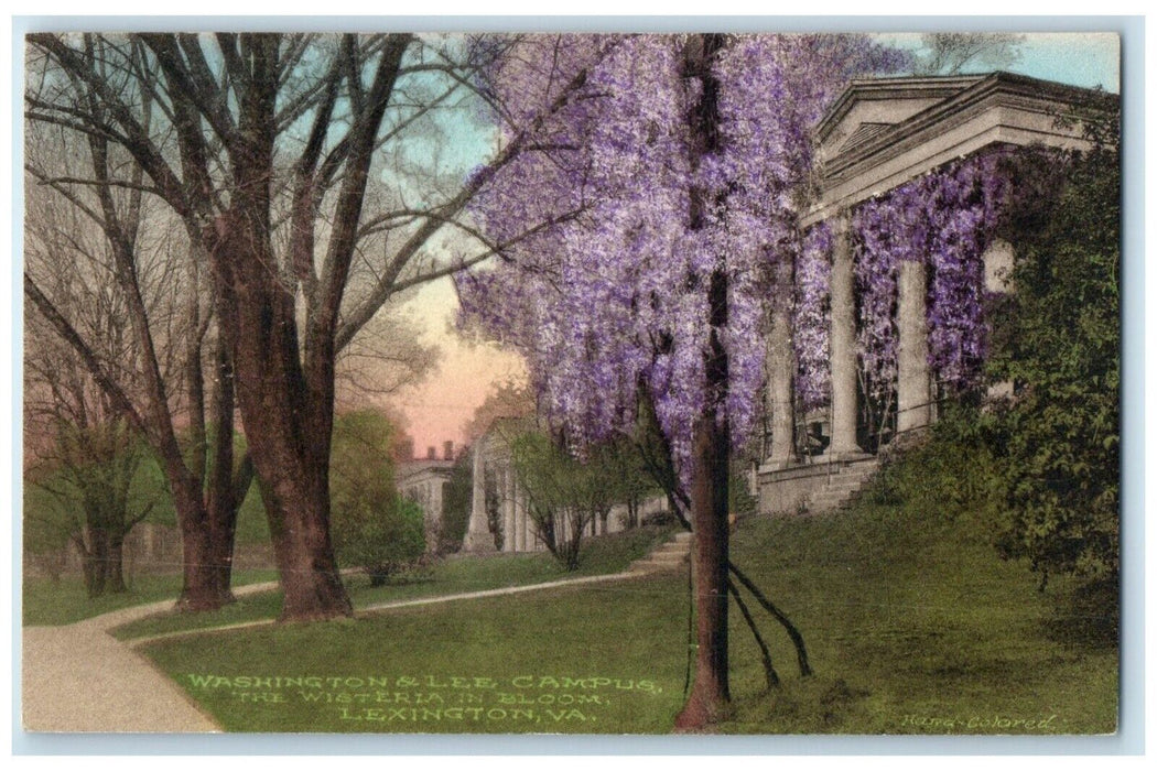 1939 Washington Lee Campus Wisteria Bloom Lexington Virginia VA Vintage Postcard