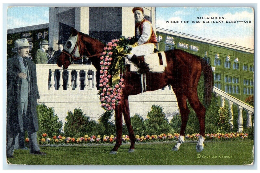c1940 Gallahadion Winner Kentucky Derby Clark County Kentucky Vintage Postcard