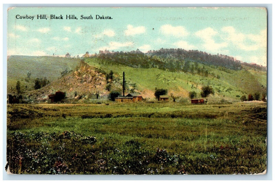 c1910 Cowboy Hill Exterior Mountain Field Black Hills South Dakota SD Postcard
