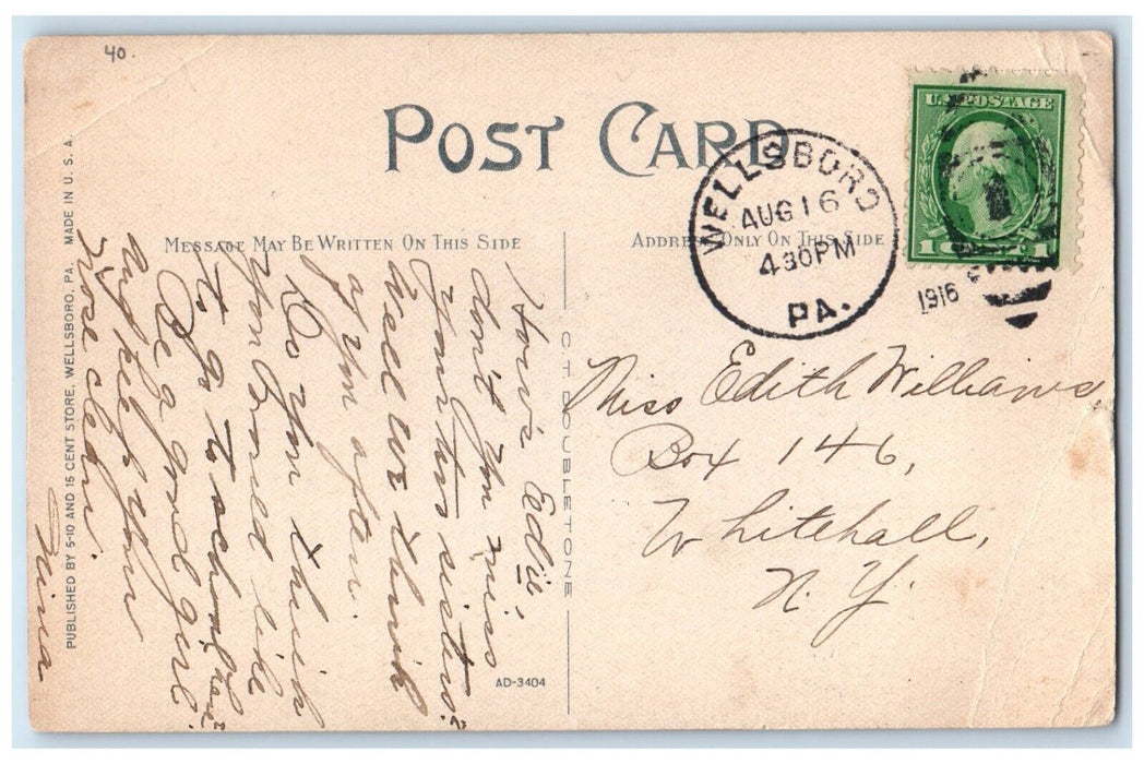 1916 Charleston School Horse Carriage Wellsboro Pennsylvania PA Antique Postcard