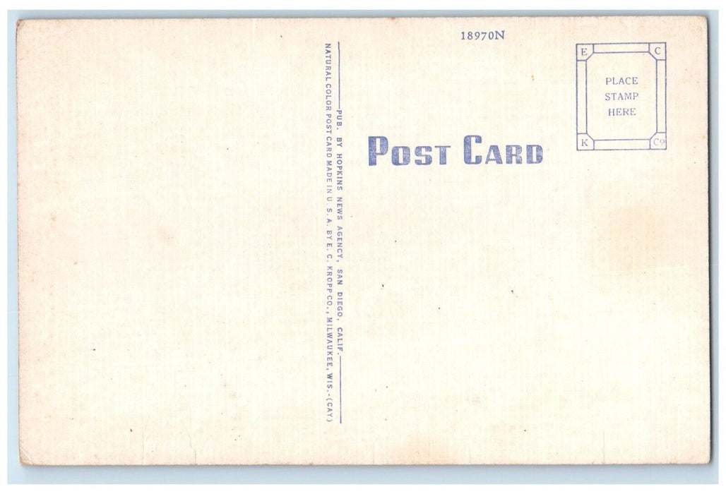 c1940 Liberator Consolidated Aircraft Corp. Plane San Diego California Postcard