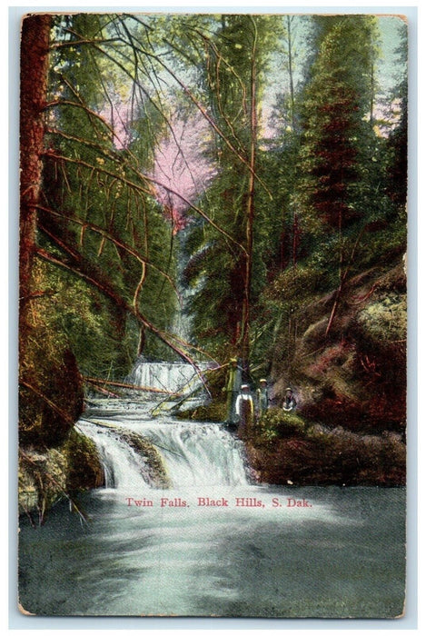 c1910 Twin Falls River Lake Trees Black Hills South Dakota SD Vintage Postcard