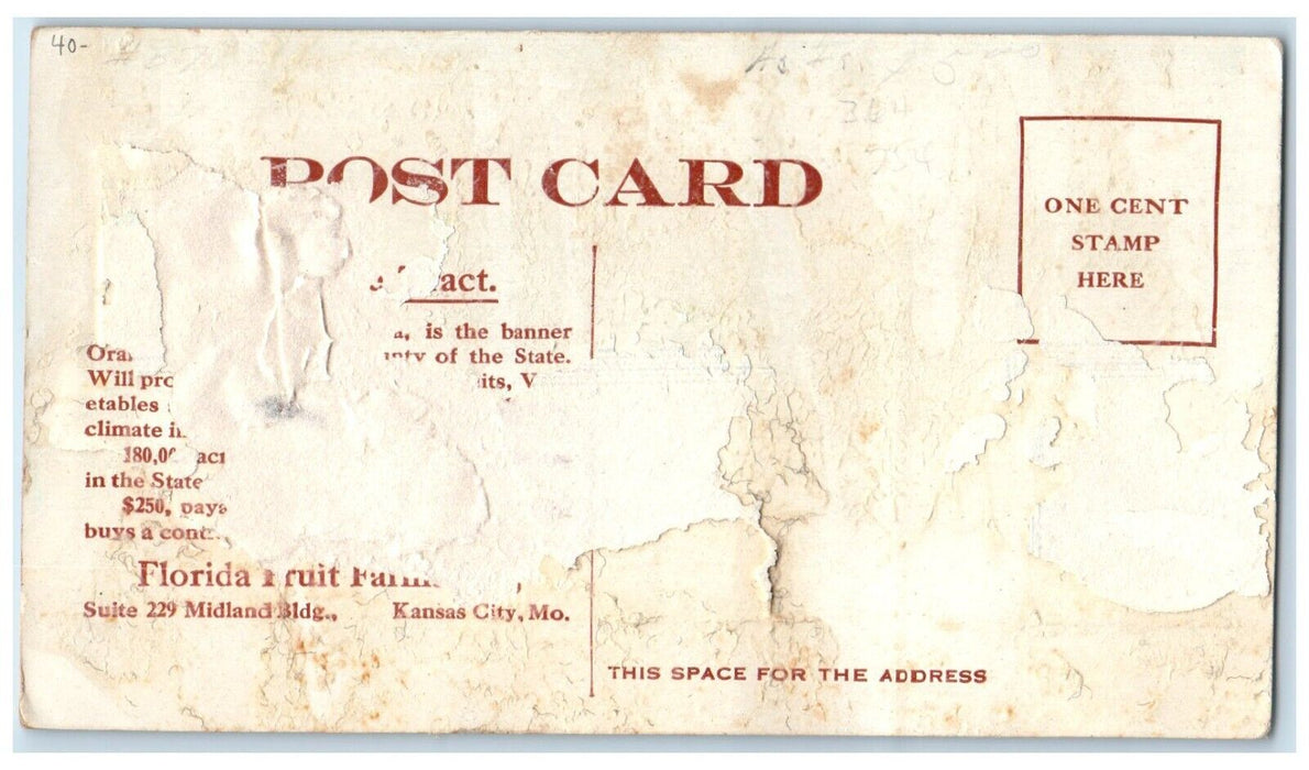 c1910's Party Of Homeseekers In Cabbage Palm Hummock Indian Prairie Postcard