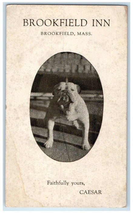 c1910's Brookfield Inn Bulldog Brookfield Massachusetts MA Antique Postcard