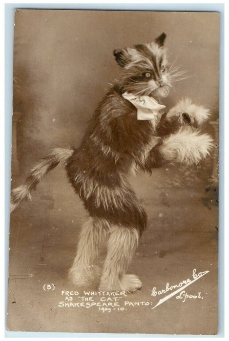 1909 Theatre Cat Fantasy Surreal Fred Whittaker Shakespeare RPPC Photo Postcard