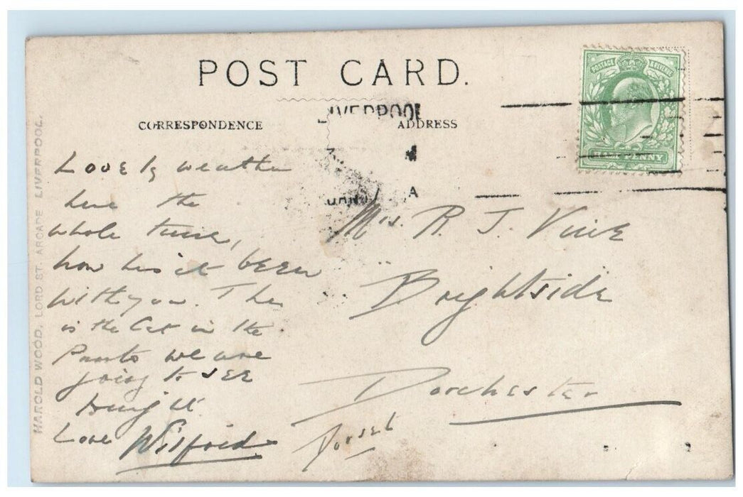 1909 Theatre Cat Fantasy Surreal Fred Whittaker Shakespeare RPPC Photo Postcard