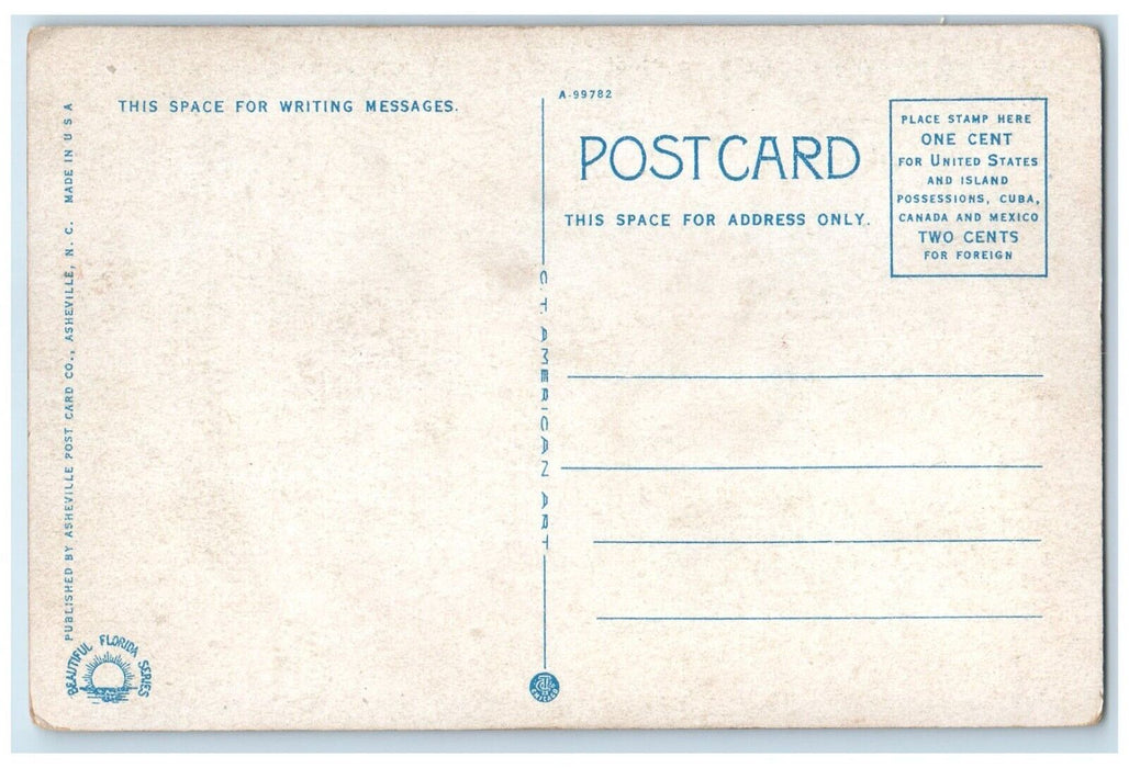 1920 Cascade Overflow Springs Ponce De Leon Springs Florida FL Unposted Postcard