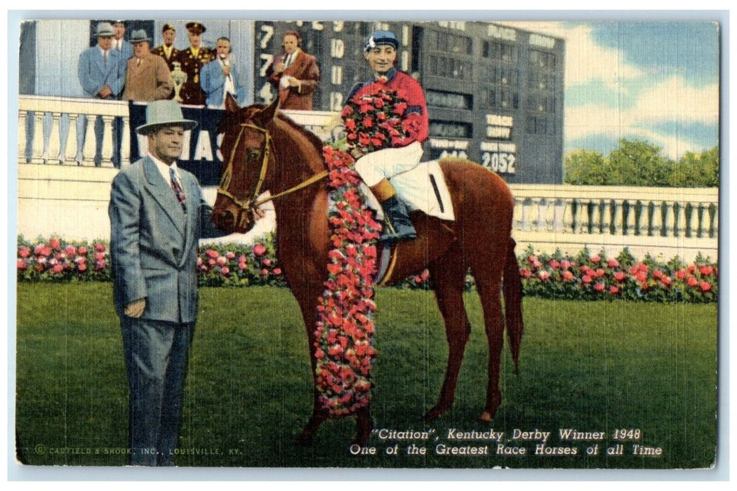 c1940 Citation Kentucky Derby Winner Race Greatest Horses All Time KY Postcard