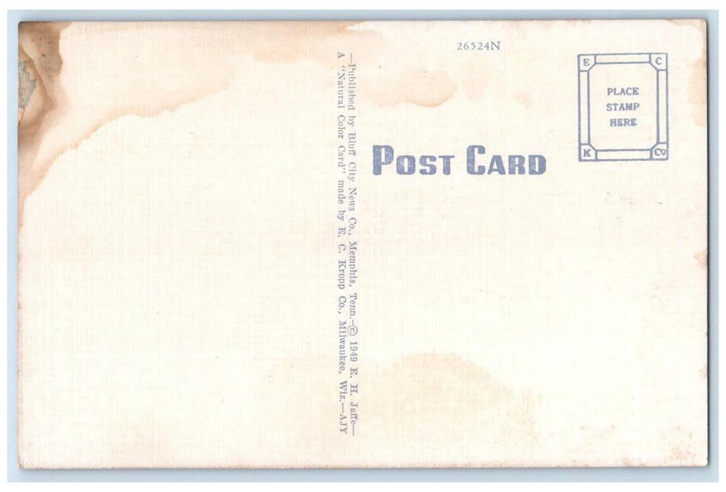 c1940 Main Street Night Exterior Building Street Road Memphis Tennessee Postcard