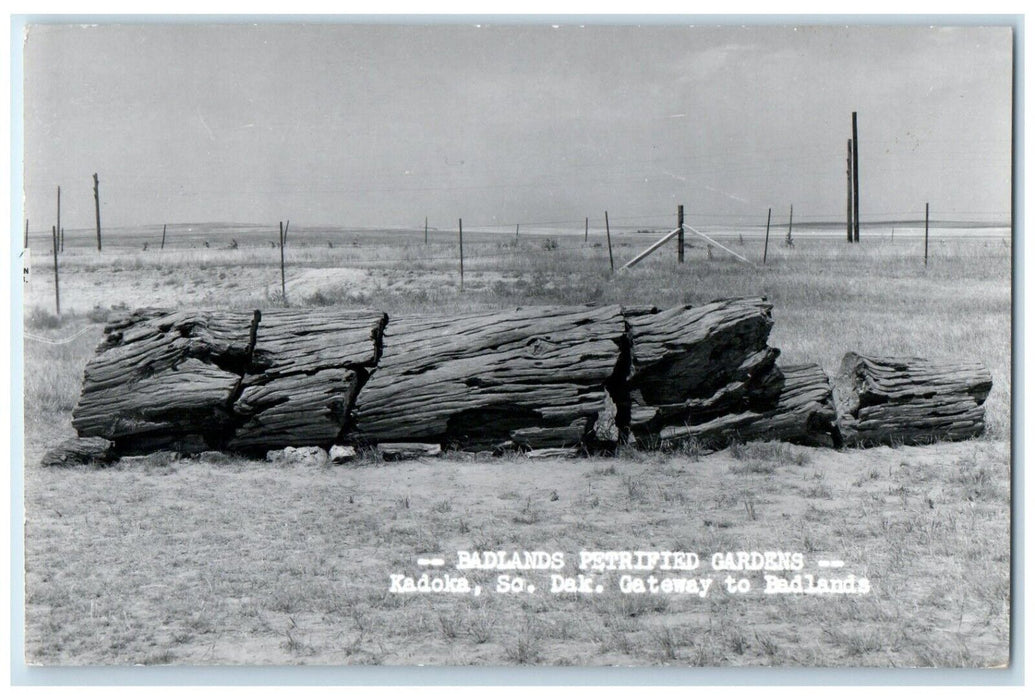 1956 Badlands Petrified Gardens Kadoka South Dakota SD RPPC Photo Postcard