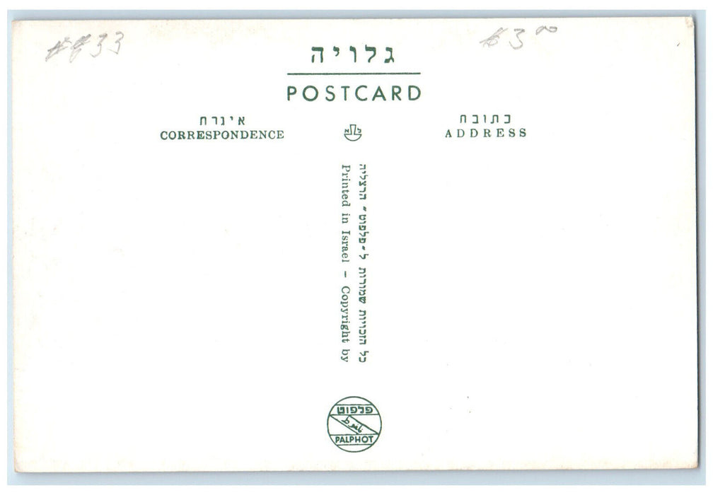 c1960's Scene of Busy People at Tel-Aviv Rotschild Boulevard Israel Postcard
