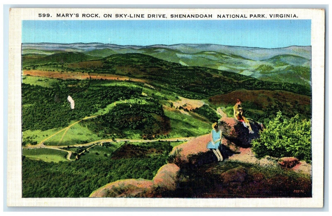 c1940 Mary's Rock Sky-Line Drive Shenandoah National Park Virginia VA Postcard