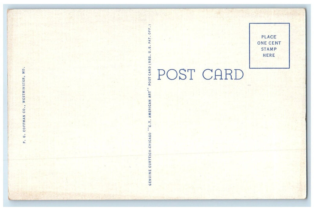 c1940 Bird's-Eye View Western Maryland College Westminster Maryland MD Postcard