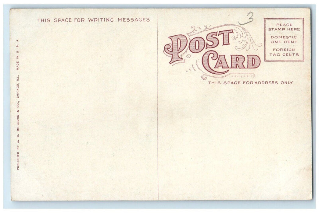 c1910's The Chicago Academy Of Sciences Building Chicago Illinois IL Postcard
