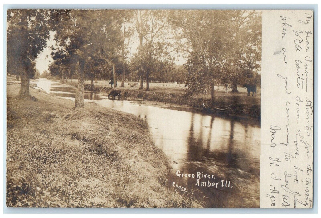 1906 View Of Green River Cow Amboy Mendota Illinois IL Chase RPPC Photo Postcard