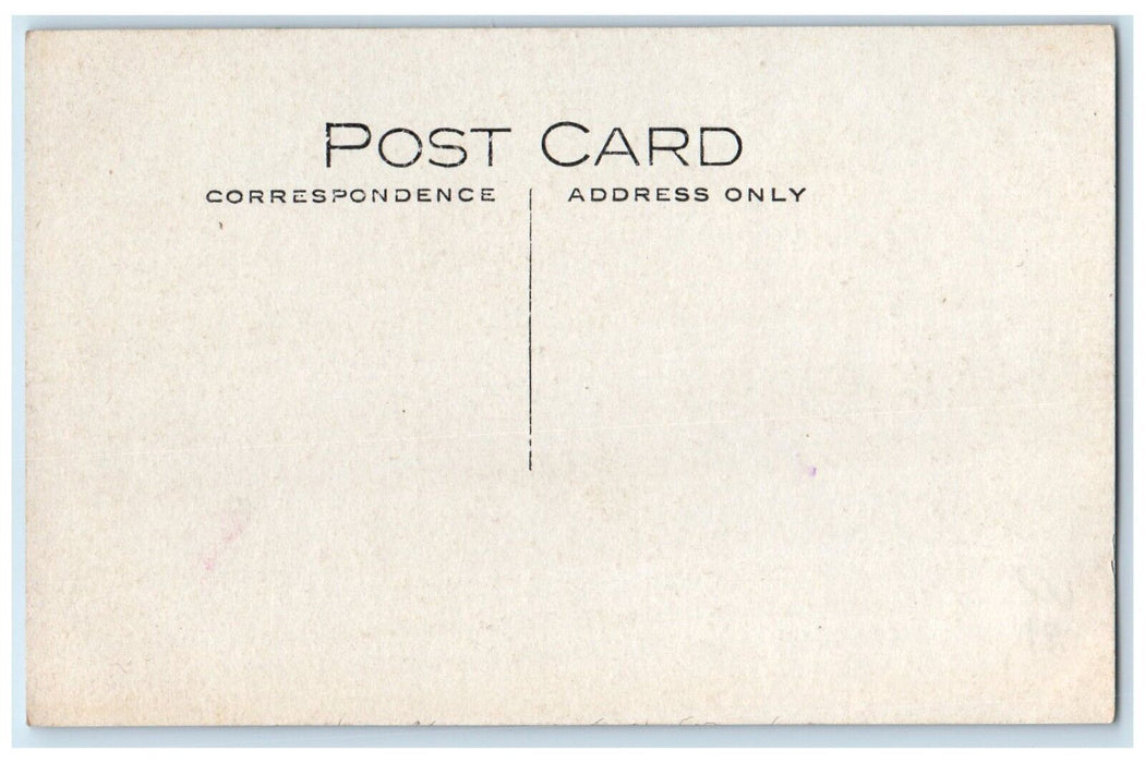 c1910's View Of Green River Park Amboy Illinois IL RPPC Photo Antique Postcard