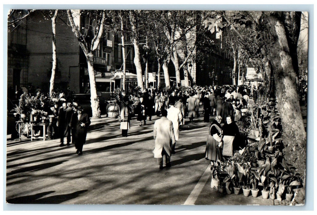 c1950's Boulevard Of The Flowers Barcelona Spain RPPC Photo Postcard