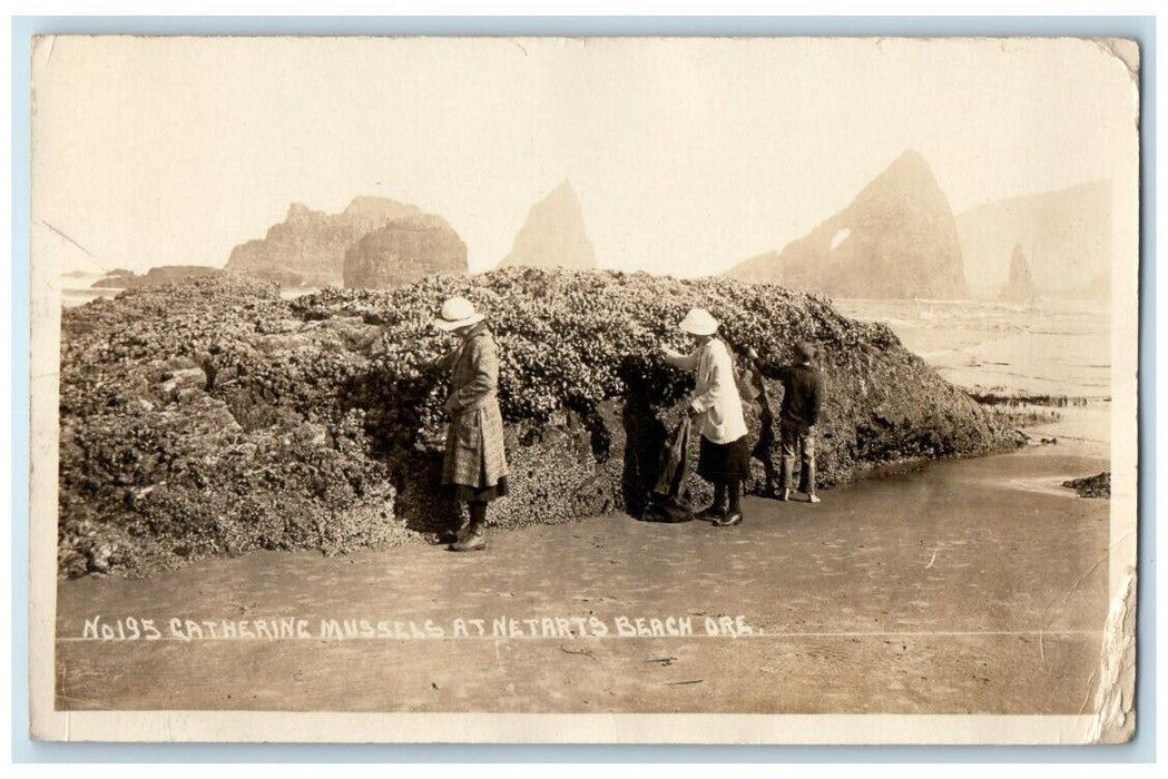 1924 Gathering Mussels Netarts Beach Oregon OR RPPC Photo Posted Postcard