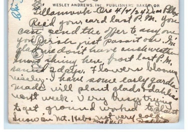 1924 Gathering Mussels Netarts Beach Oregon OR RPPC Photo Posted Postcard