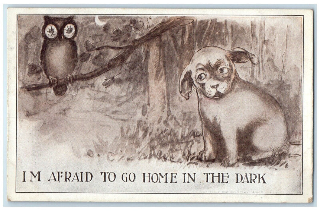 Puppy Dog Owl Crescent Moon I'm Afraid To Go Home In The Dark Kirwin KS Postcard
