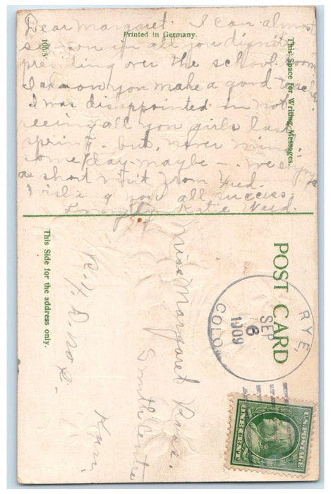 1909 Greetings TJHM Flowers Embossed Rye Colorado CO Posted Antique Postcard