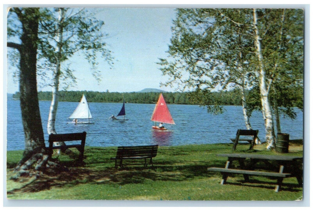 c1960 View Rangeley Park Shore Rangeley Lake Bench Boat Rangeley Maine Postcard