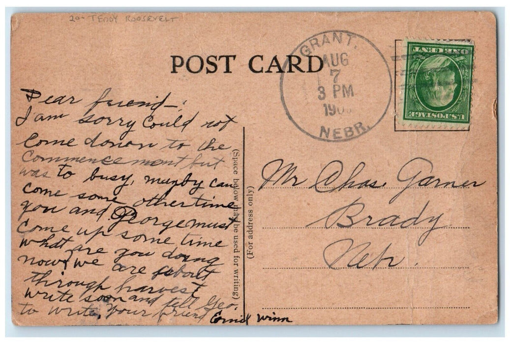 1908 Lion Teddy Roosevelt Grant Nebraska NE, Animals Posted Antique Postcard