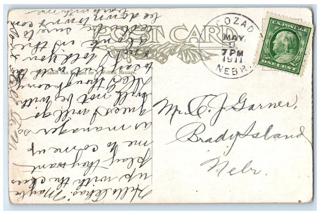 1911 Dog Chasing Cat Up A Tree Cozad Nebraska NE Posted Antique Postcard