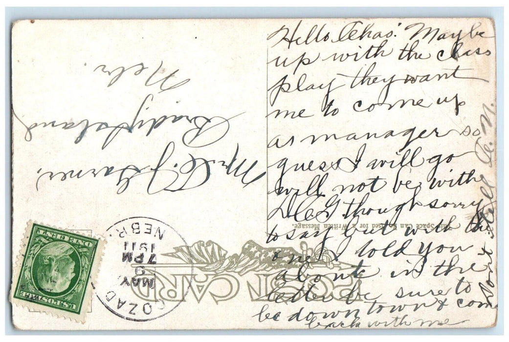 1911 Dog Chasing Cat Up A Tree Cozad Nebraska NE Posted Antique Postcard