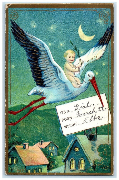 1910 Stork Delivering Baby Girl Embossed Palmera Massachusetts MA Postcard