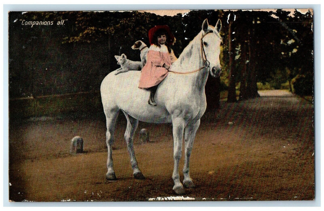 1908 Little Girl Riding Horse Dogs Companions All Brooklyn New York NY Postcard