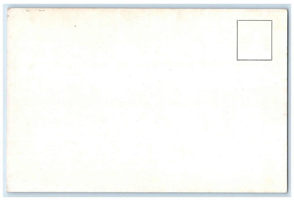 New York Metropolitan Museum Art Woodcut Illustration Sonetto Materiafe Postcard