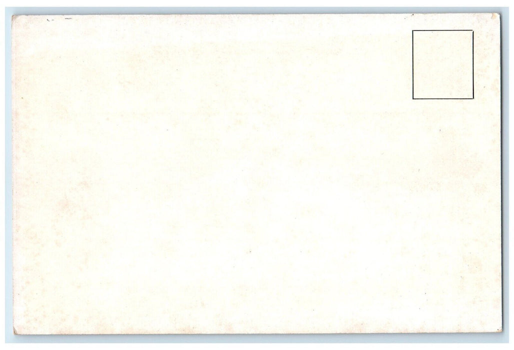 New York Metropolitan Museum Art Woodcut Illustration Fior Di Virtu Postcard