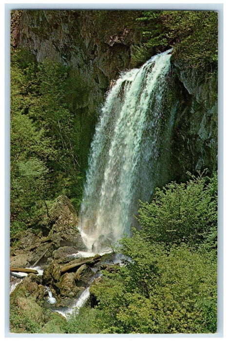 1977 Scenic View Waterfalls Greetings From Greenville New York Antique Postcard