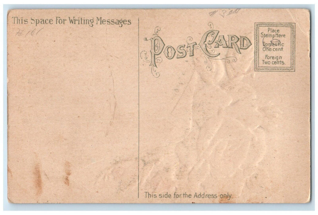c1910's Greetings From Bergen North Dakota ND Flowers Embossed Antique Postcard