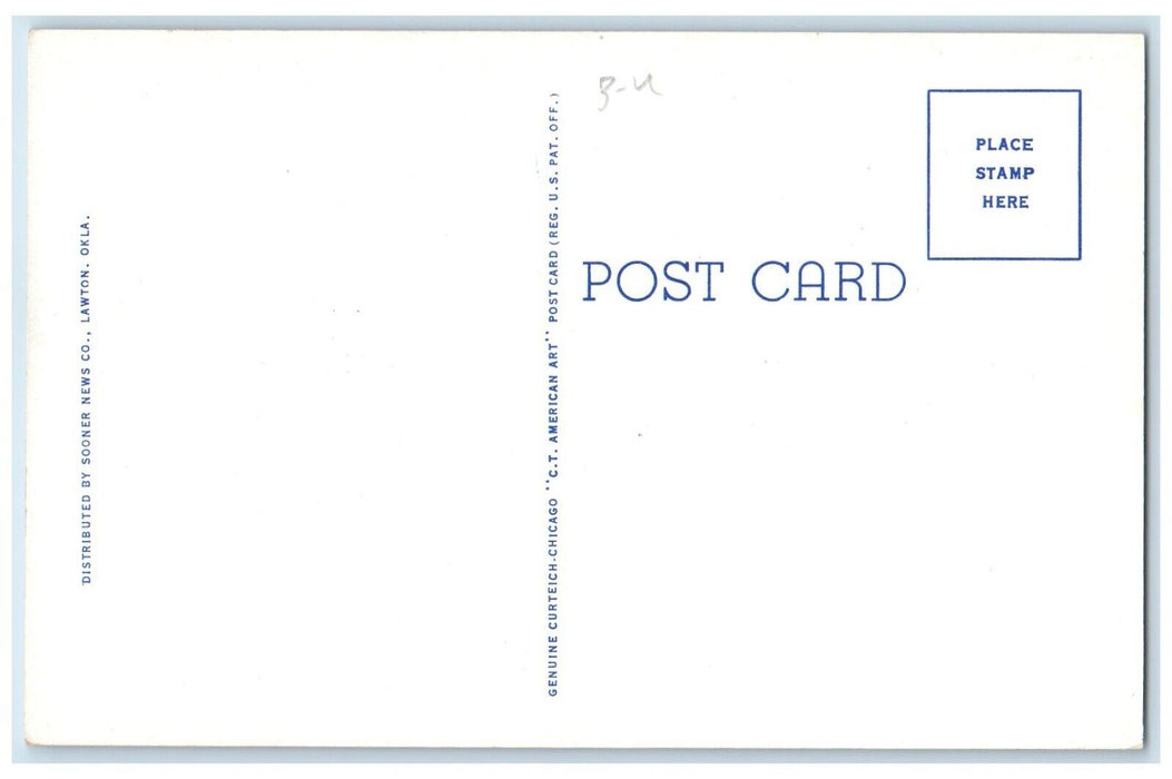 c1930 Animals Buffalo Wichita Game Reserve Lawton Oklahoma OK Unposted Postcard