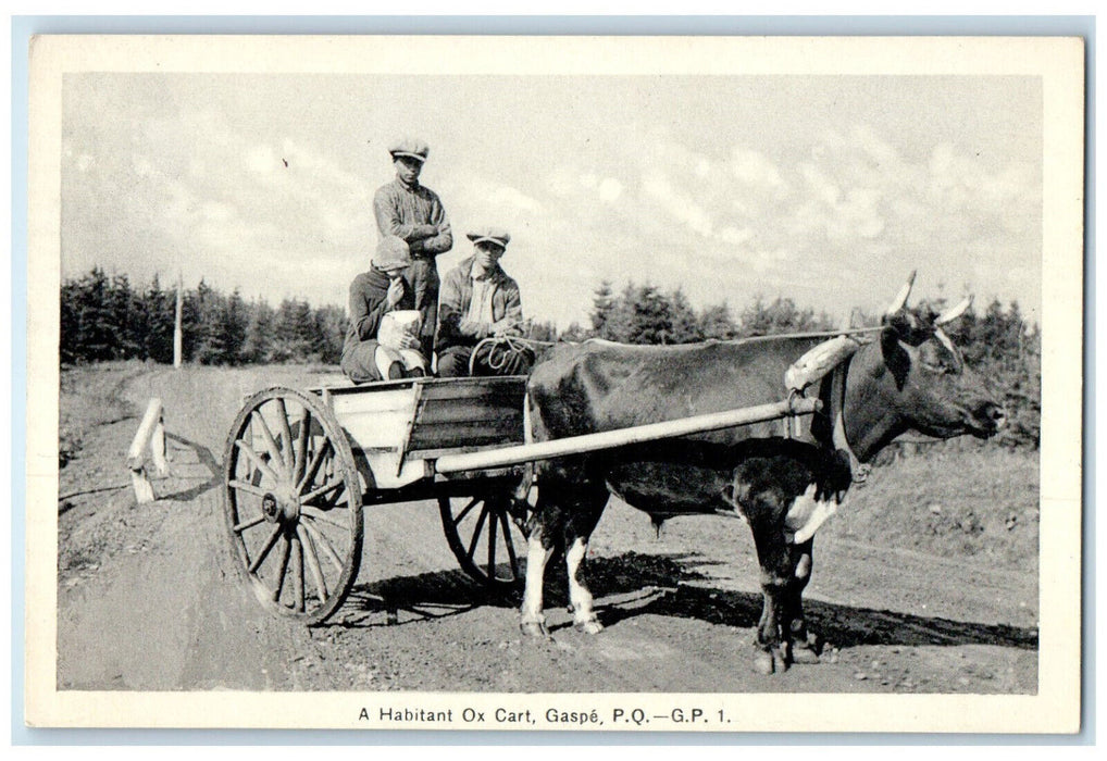 c1930's A Habitant Ox Cart Gaspe Quebec Canada Vintage Unposted Postcard