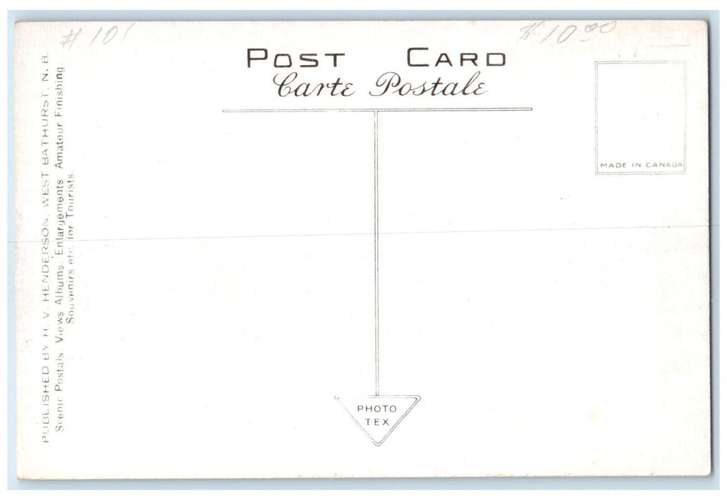 c1930's A Habitant Ox Cart Gaspe Quebec Canada Vintage Unposted Postcard