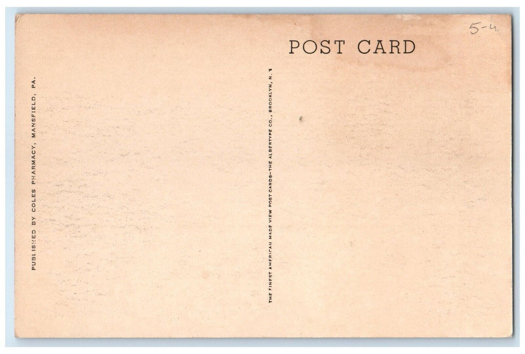 c1940 Susquehanna Trail North Street Road Mount Mansfield Pennsylvania Postcard