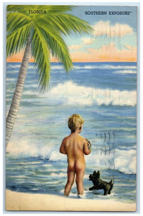 1943 Boy Undress Bare Butt Dog At The Beach Southern Exposure FL Postcard