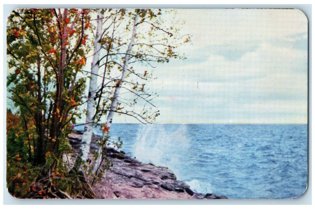 1955 Mountain Ash Birch Waldhof Limitless Water Eagle Lake Canada Postcard