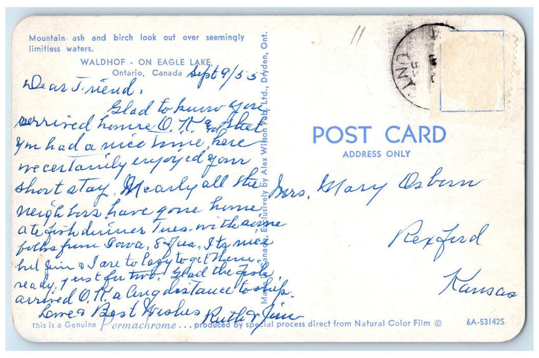 1955 Mountain Ash Birch Waldhof Limitless Water Eagle Lake Canada Postcard