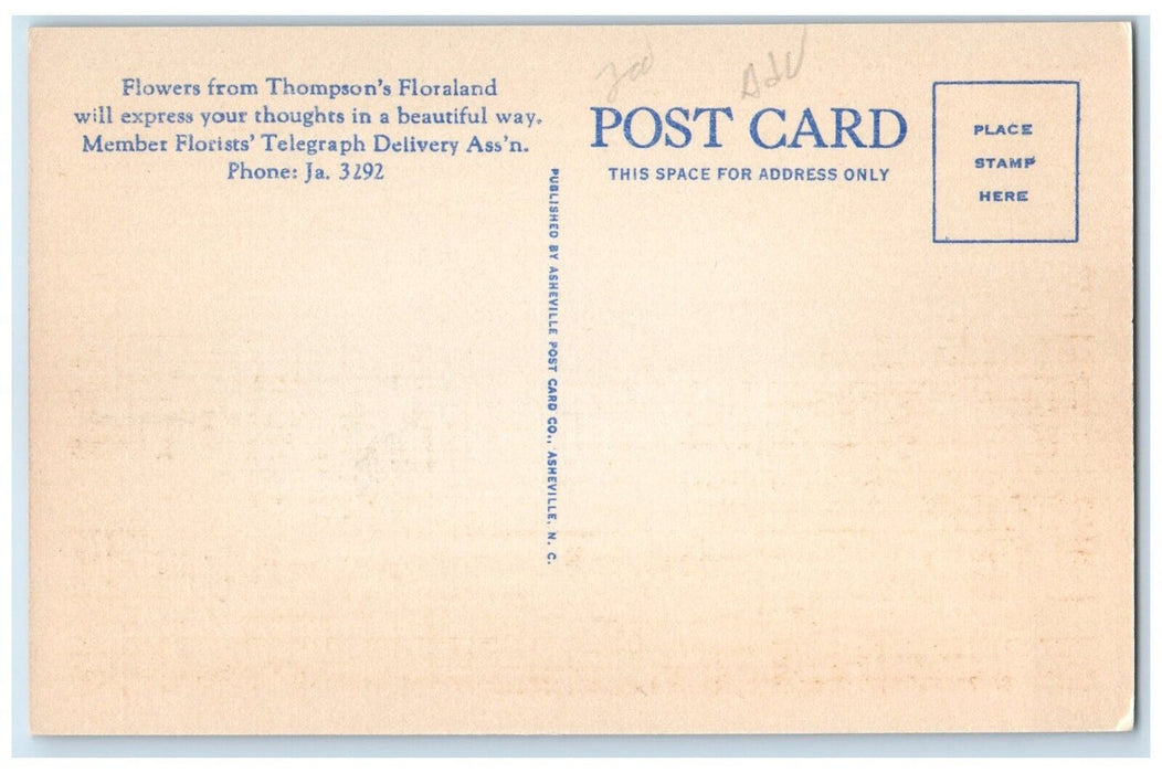 c1940 Perennial Tropical Gardens Thompson Floraland Atlanta Georgia GA Postcard