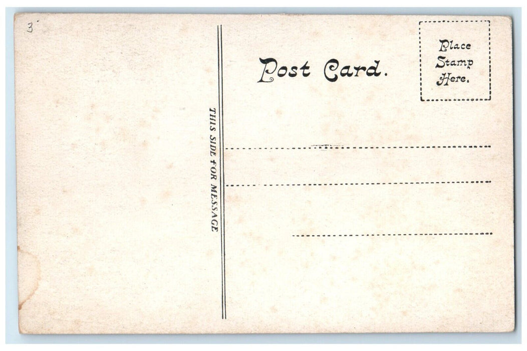 c1910 Birds Eye View Exterior Building Road Springfield Massachusetts Postcard