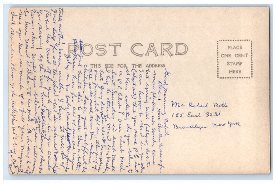 c1905 Forest Lake Sailboat Bench Lonely Pine Tree View RPPC Photo Postcard