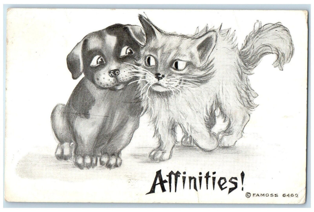 1910 Puppy Dog And Cat Affinities Famoss Rochester Washington WA Posted Postcard