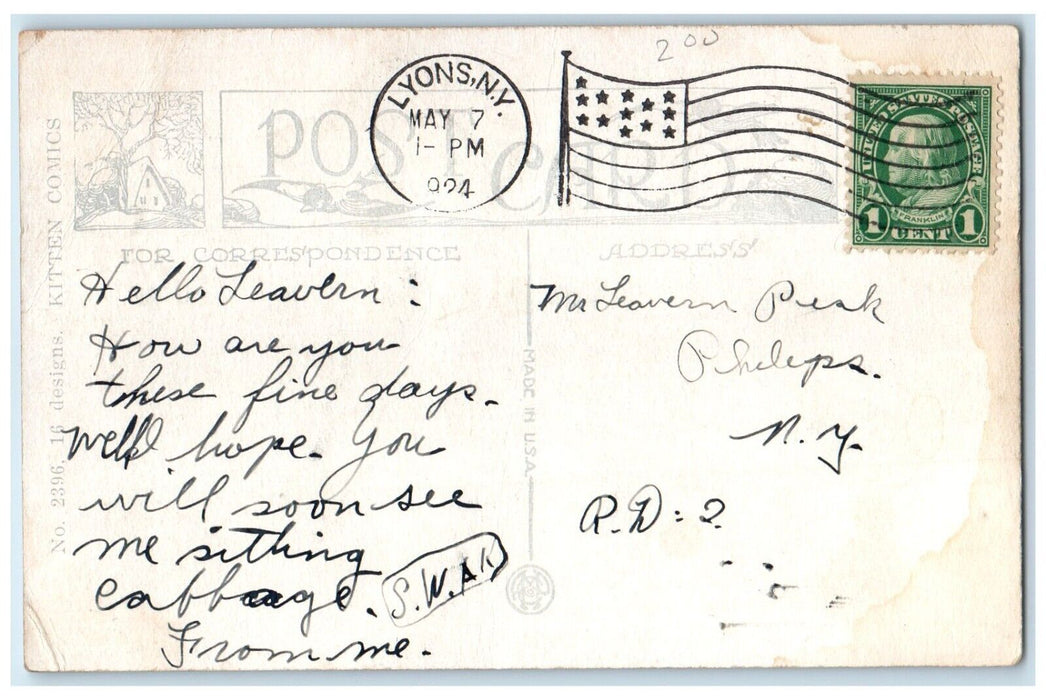 1924 Cat Yarn Birds Everything I Want Is Just Beyond My Reach Lyons NY Postcard